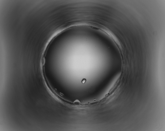 X0000088220813200705221802