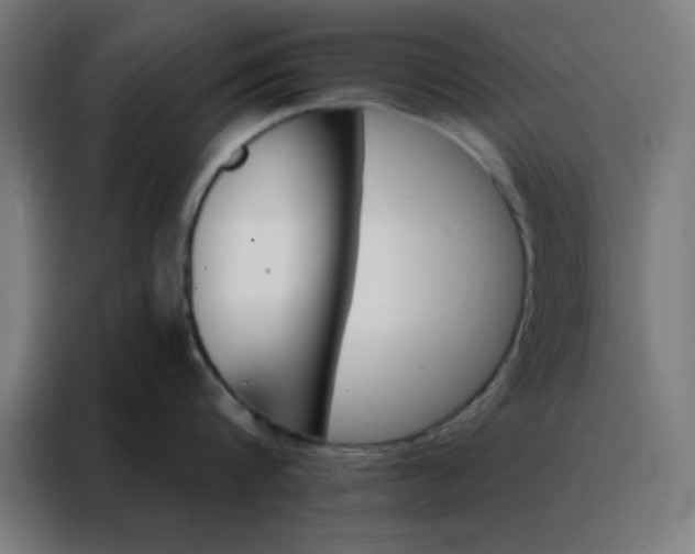 X0000088220816200705221802