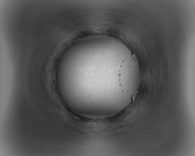 X0000088220817200705221802