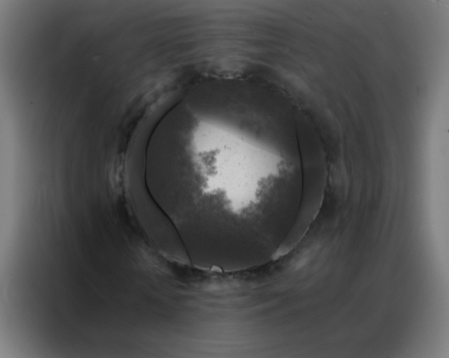 X0000088220818200705221802