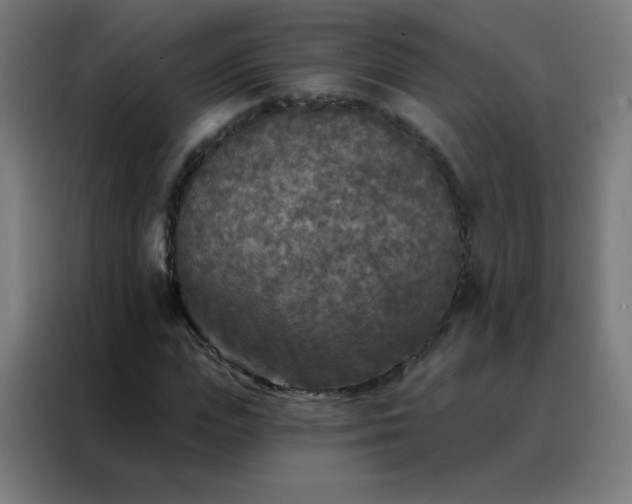 X0000088220823200705221802