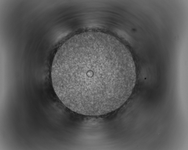 X0000088220824200705221802