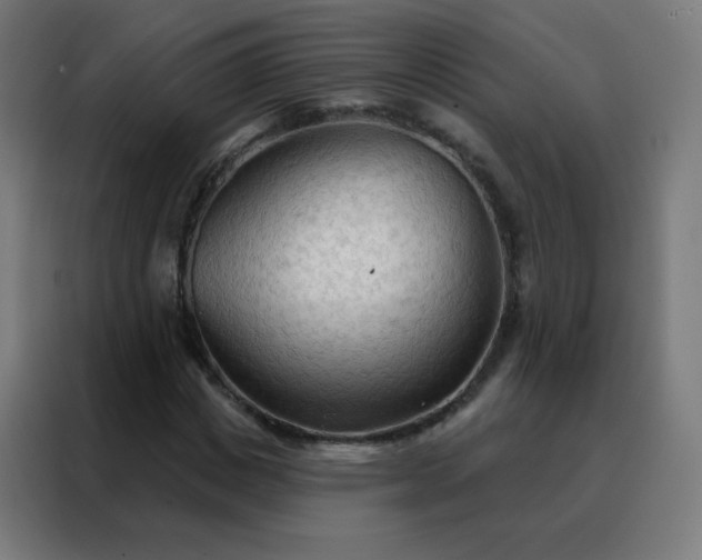 X0000088220825200705221802