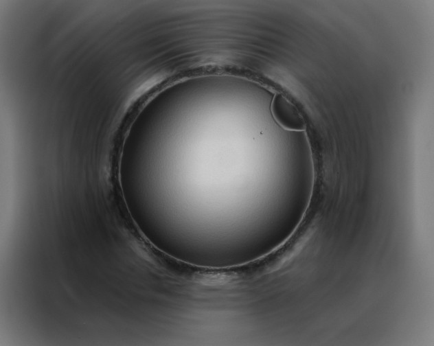 X0000088220826200705221802