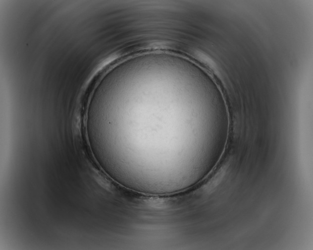 X0000088220827200705221802