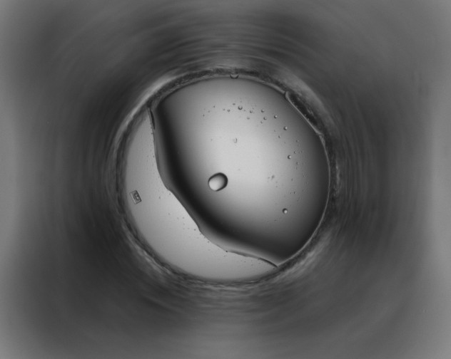 X0000088220828200705221802