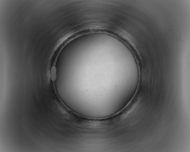 X0000088220829200705221802