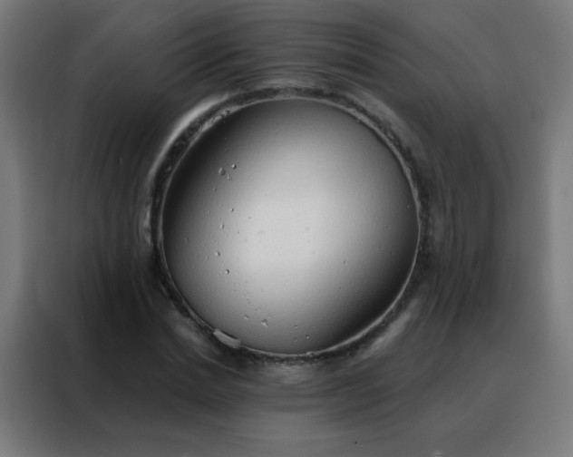 X0000088220830200705221802