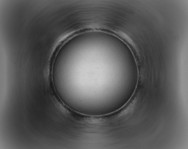 X0000088220831200705221802