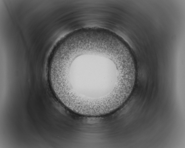 X0000088220832200705221802