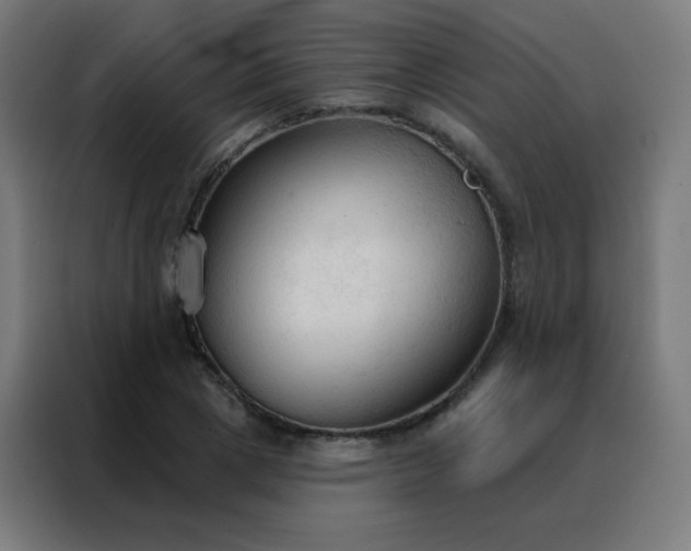 X0000088220833200705221802