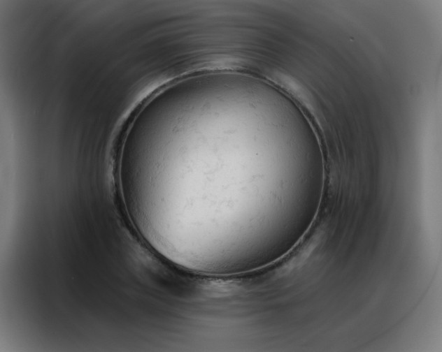 X0000088220835200705221802