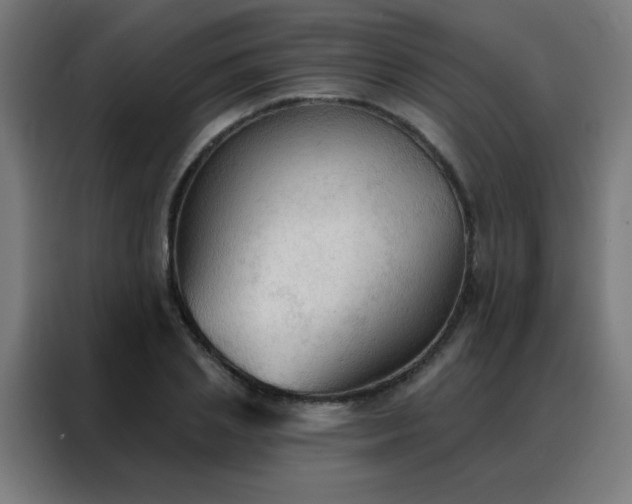 X0000088220837200705221802