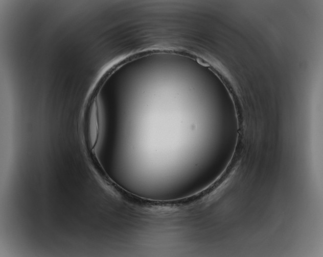 X0000088220838200705221802