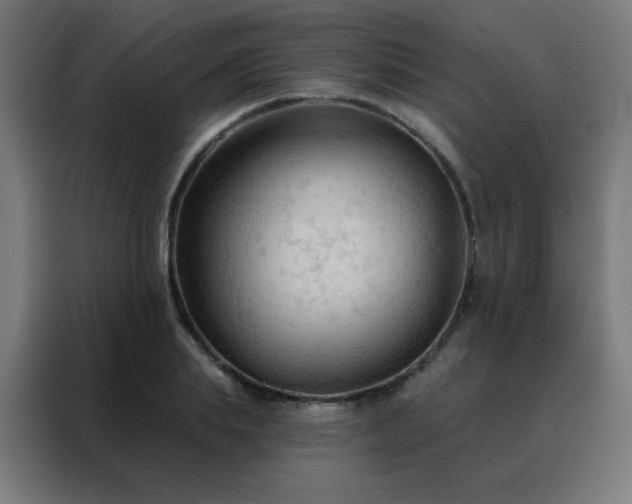 X0000088220839200705221802