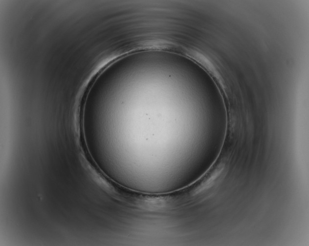 X0000088220843200705221802