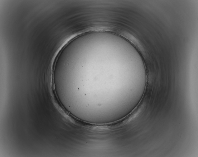 X0000088220844200705221802