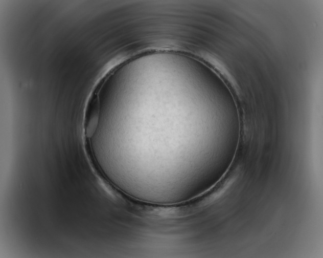 X0000088220845200705221802