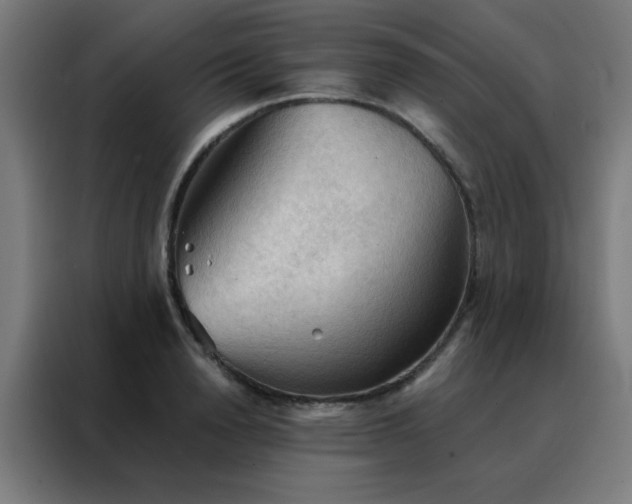 X0000088220846200705221802