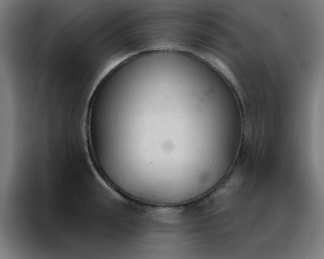 X0000088220847200705221802