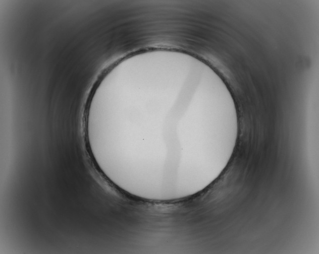 X0000088220848200705221802