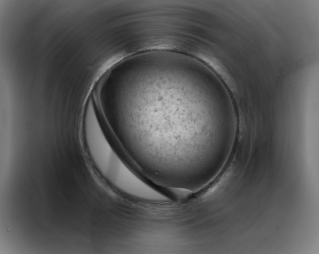 X0000088220850200705221802