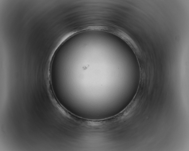 X0000088220852200705221802