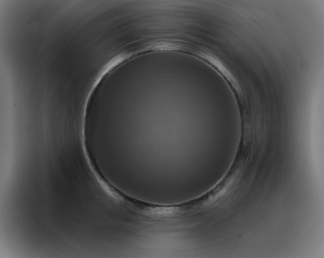 X0000088220853200705221802