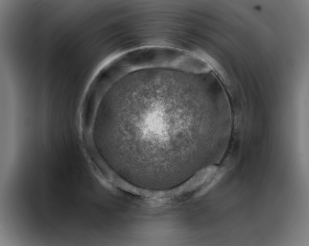 X0000088220854200705221802