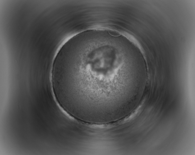 X0000088220855200705221802