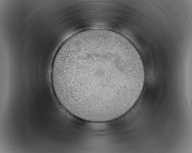 X0000088220856200705221802