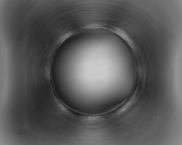 X0000088220857200705221802