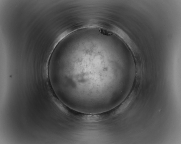 X0000088220858200705221802