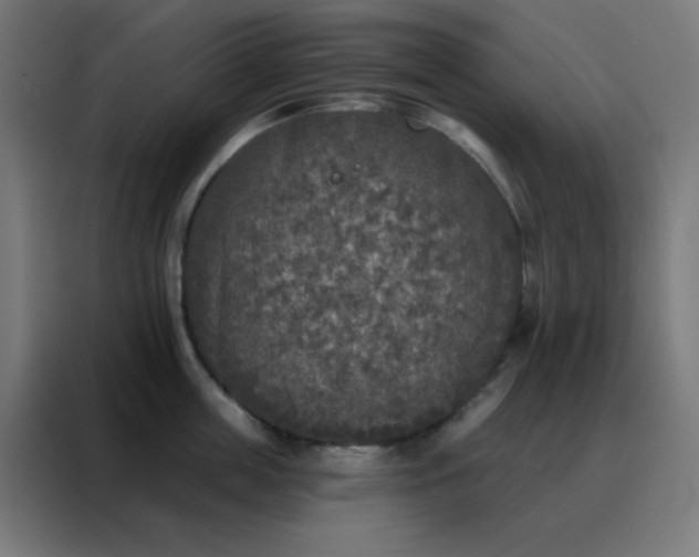 X0000088220859200705221802