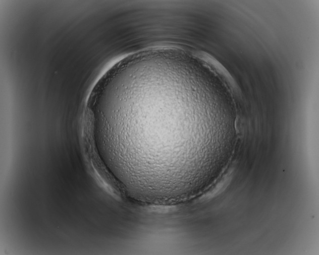 X0000088220860200705221802