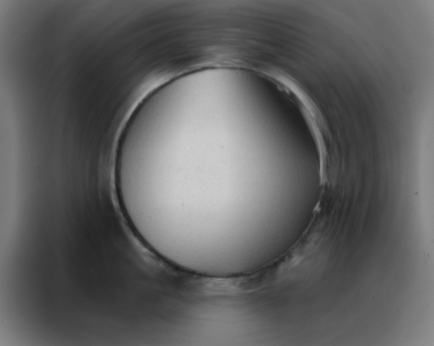 X0000088220861200705221802