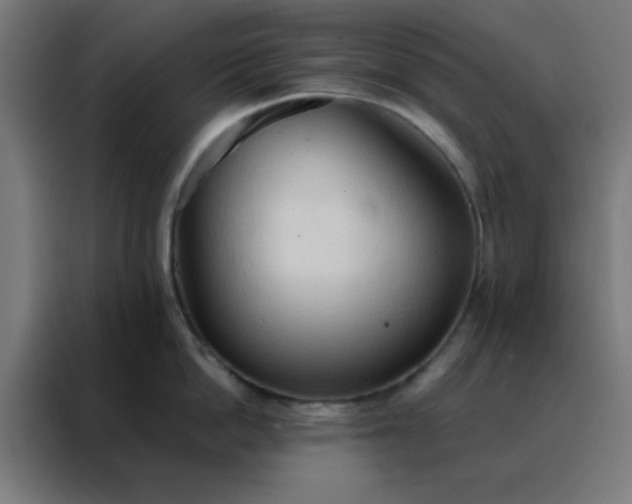 X0000088220862200705221802