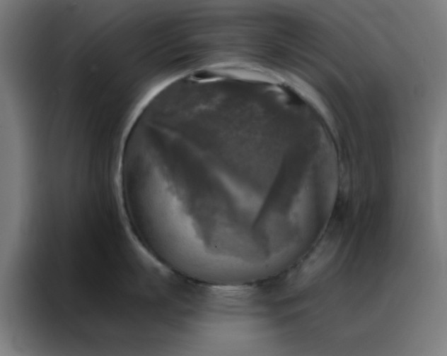 X0000088220863200705221802