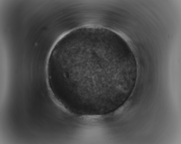 X0000088220864200705221802