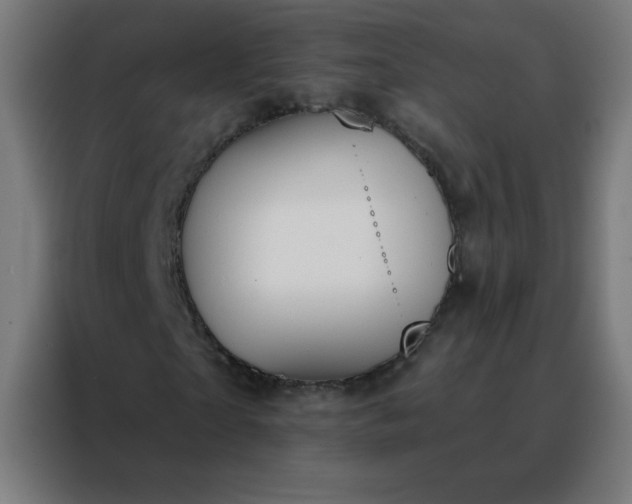 X0000088220865200705221802