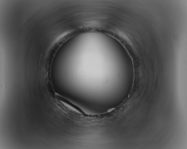 X0000088220872200705221802