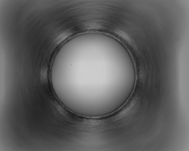 X0000088220873200705221802