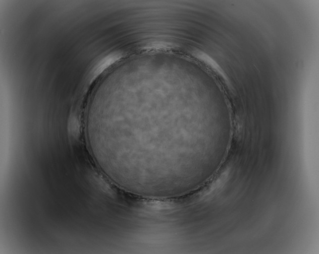 X0000088220874200705221802