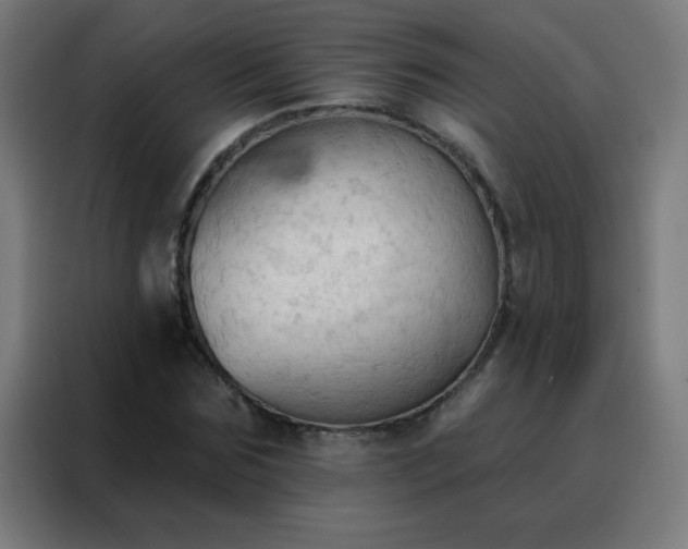 X0000088220875200705221802