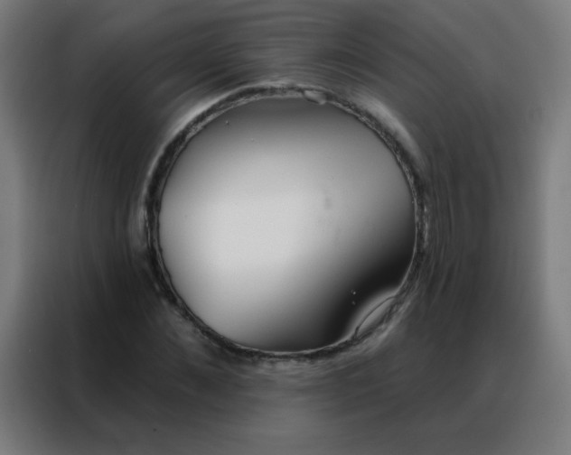 X0000088220876200705221802