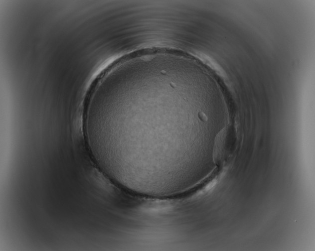 X0000088220877200705221802