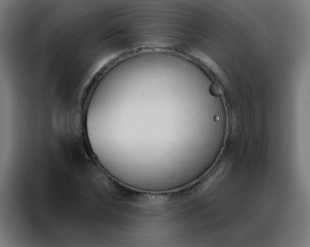 X0000088220878200705221801