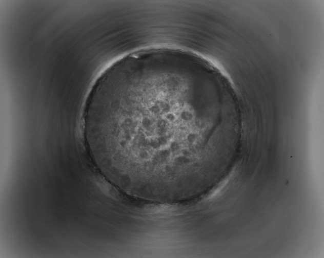 X0000088220879200705221801