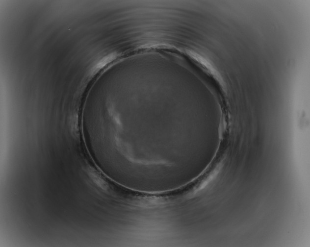 X0000088220881200705221801