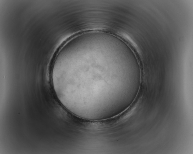 X0000088220883200705221801